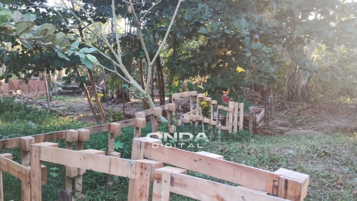 Denúncias apontam invasão em área verde por traficantes em Manaus