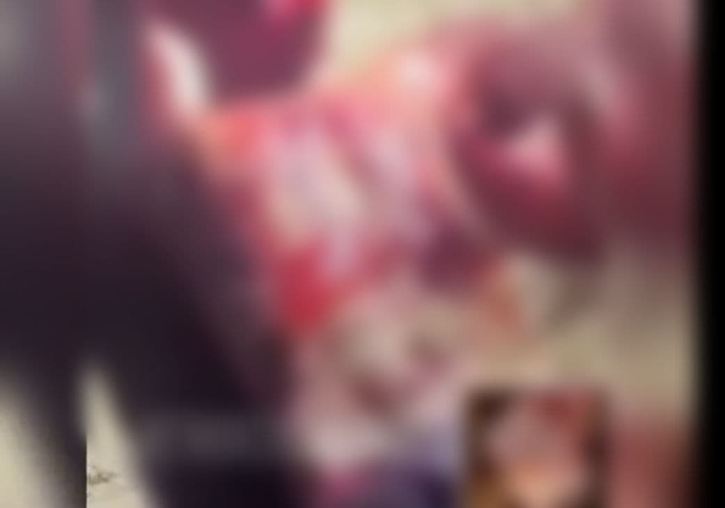 Ladrão invade casa, mas é ‘recebido’ por pitbull em Boa Vista