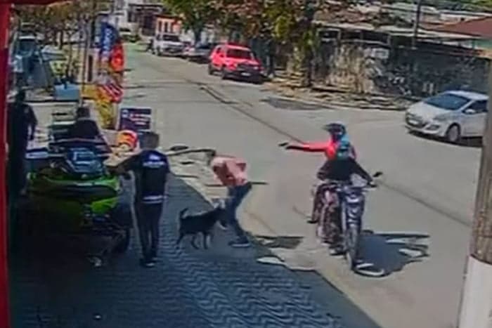 VÍDEO: Cachorro defende dono em tentativa de assalto e espanta criminosos, em SP