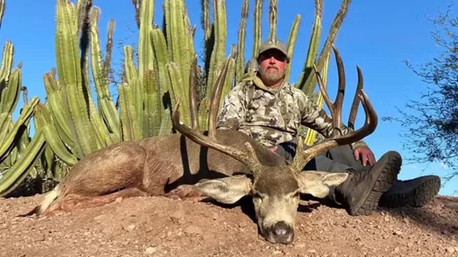 Milionário americano morre ao ser atacado por búfalo durante safári na África