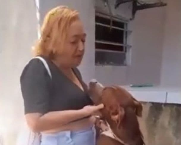 Imagens fortes: mulher tenta dar selinho em pitbull e leva mordida na boca