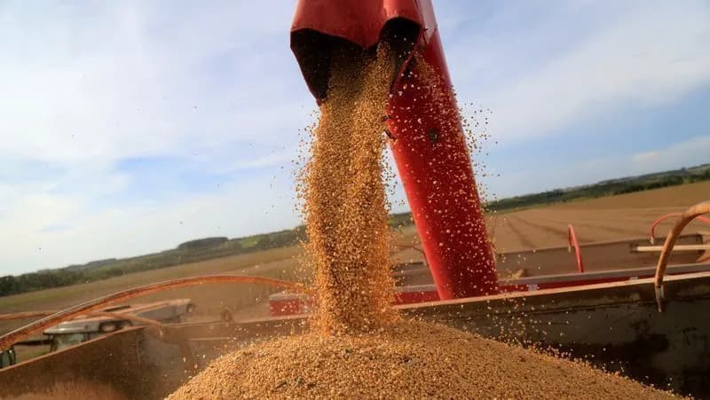 Importações de soja brasileira pela China aumentam em 13% em julho; agricultores americanos se queixam a Trump