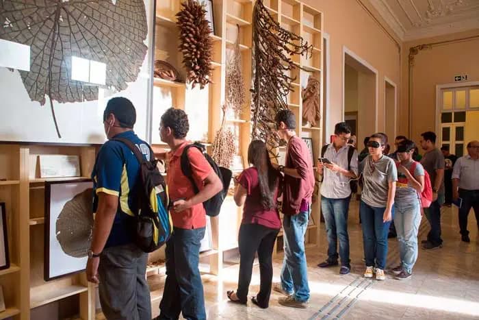 Lei estadual garante turismo acessível a pessoas com TEA no Amazonas