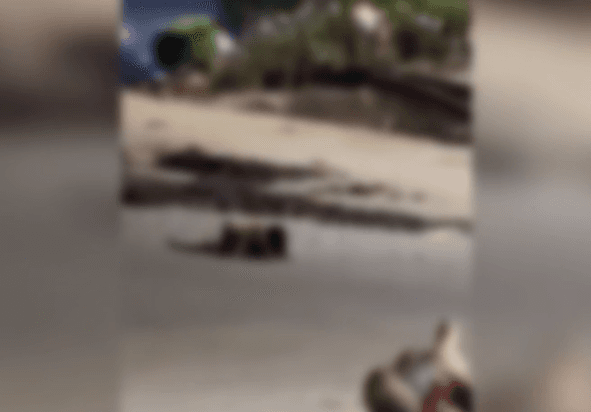 Casal é flagrado fazendo sexo na praia de Iracema, em Fortaleza; polícia é acionada