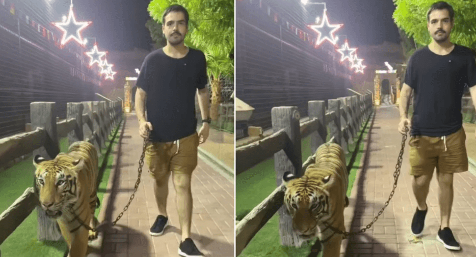 Filho de Faustão chama atenção ao passear com tigre nos Emirados Árabes