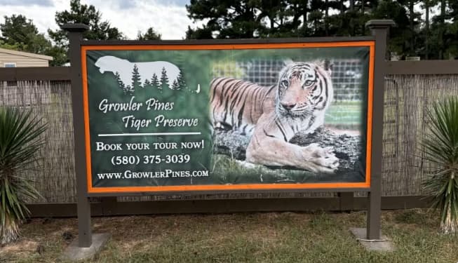 Cuidador de tigres morre após ser atacado durante apresentação nos Estados Unidos