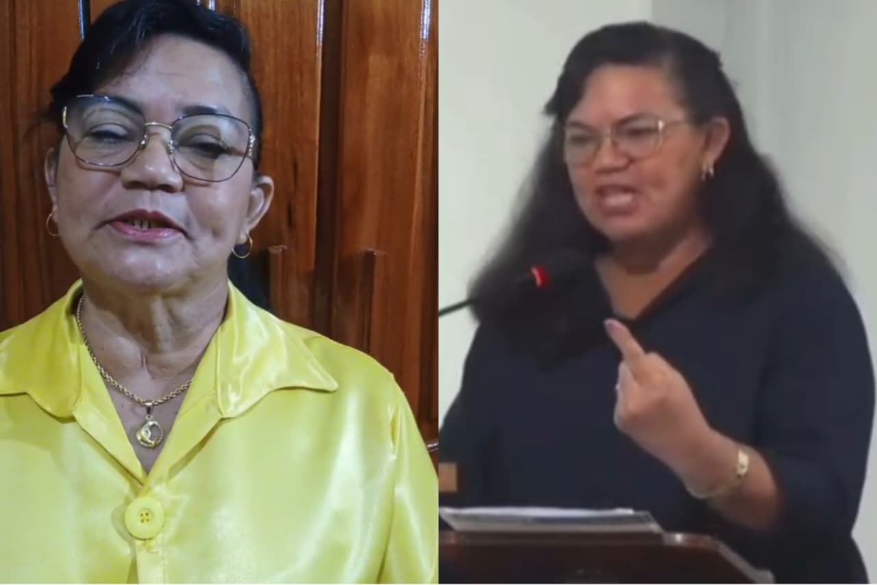 Vereadora pede desculpas após fala polêmica defendendo violência contra mulheres