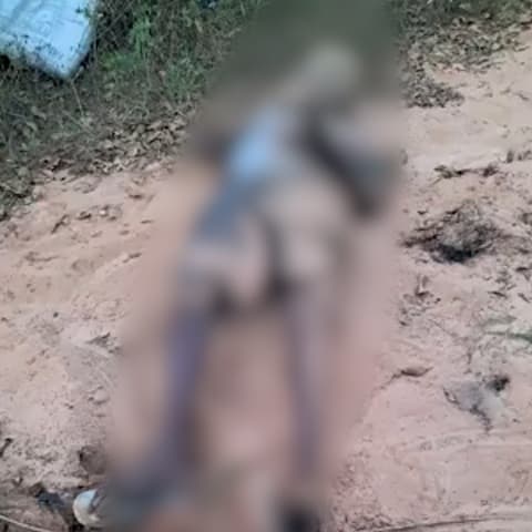 Fio de alta tensão mata idoso e cavalo em estrada rural do Maranhão