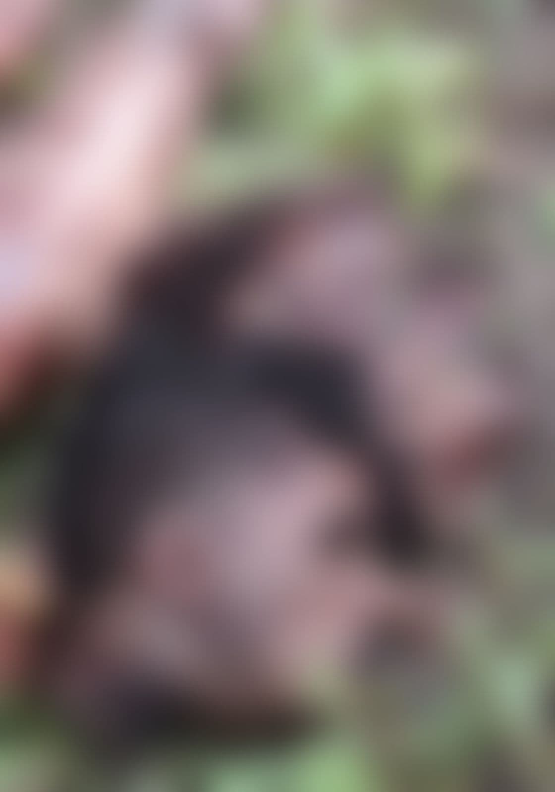 Facção decapita dois homens em Parnamirim