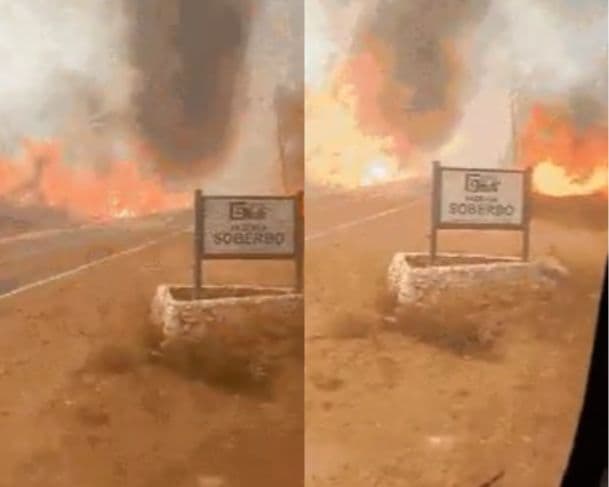 Incêndio em vegetação força evacuação de ônibus com funcionários de resort