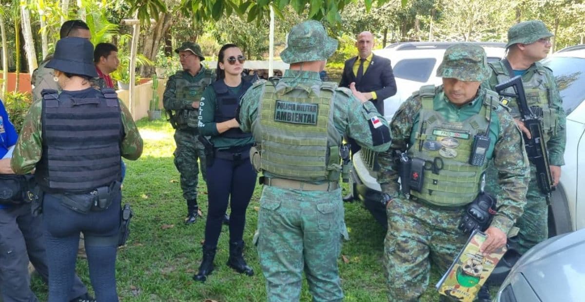 Operação Ybirá: PC-AM indicia nove pessoas por crimes ambientais e associação criminosa em Manaus