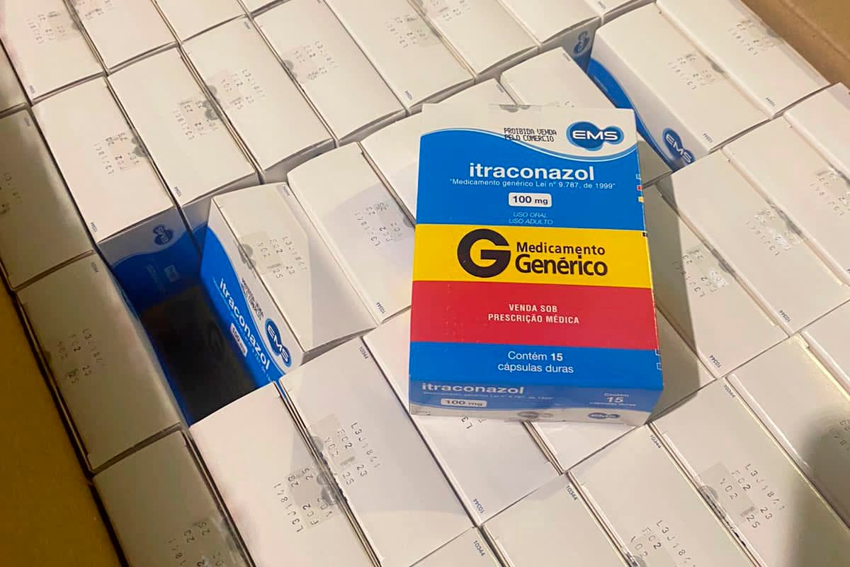 CMM aprova lei que autoriza uso de medicamento humano no tratamento de esporotricose animal