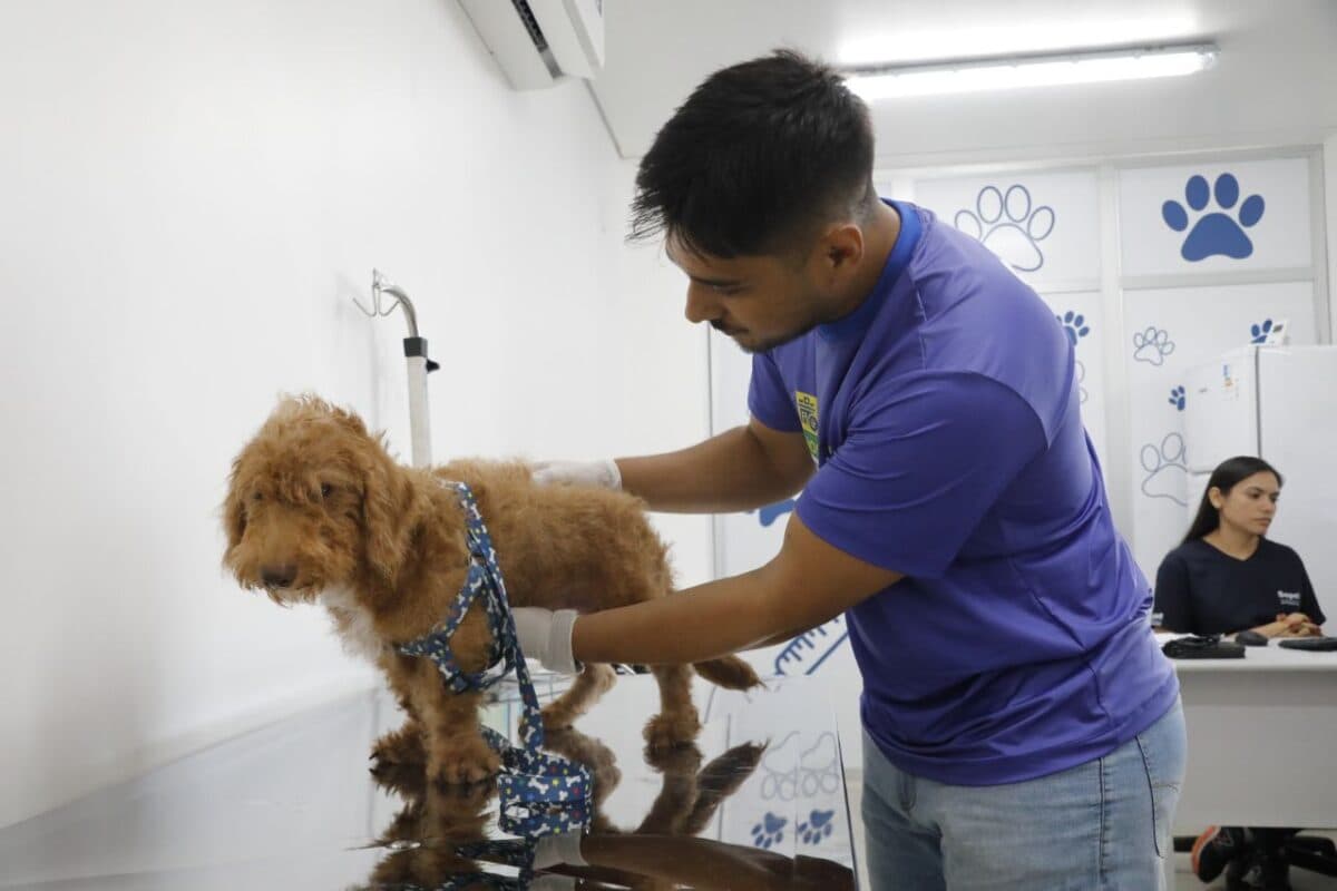 Hospital Público Veterinário do Amazonas inicia atendimentos; veja como funciona