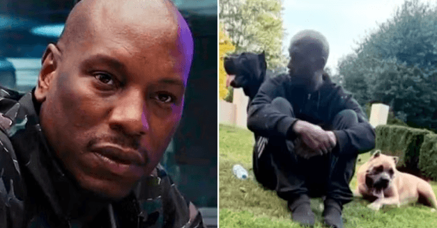 Investigação mira ator Tyrese Gibson depois que seus cães mataram animal de vizinho