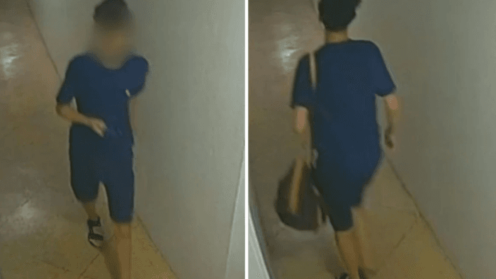 Adolescente de 15 anos é suspeito de furto de R$ 650 mil em apartamento no RJ