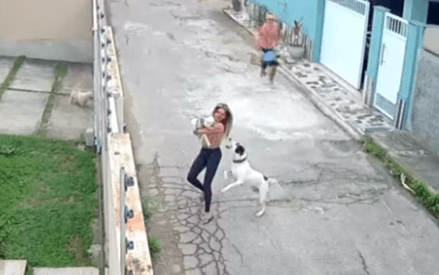 Mulher é atacada por cachorro ao tentar proteger o próprio pet no RJ