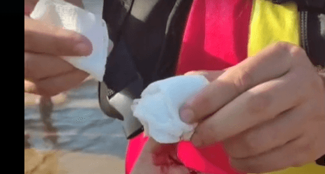 VÍDEO: Banhistas são atacados por piranhas em balneário no Amazonas