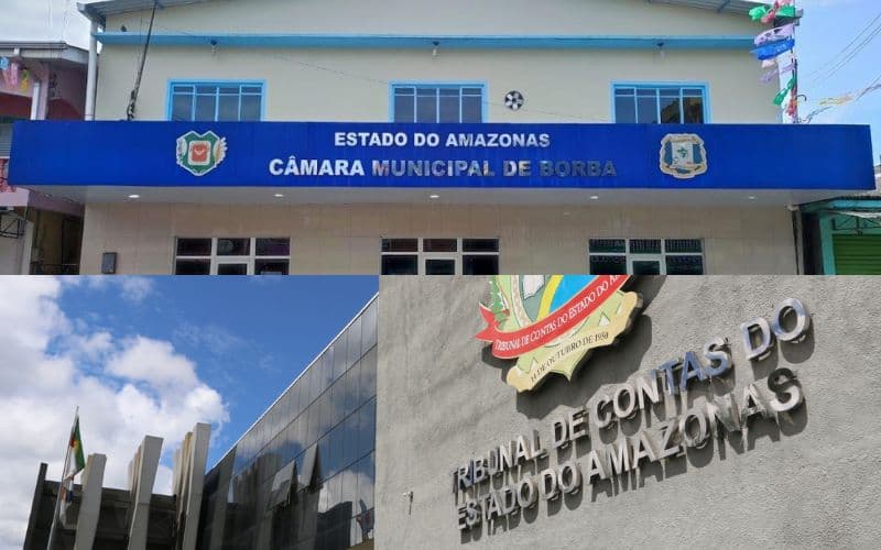 Vereadores de Borba pedem investigação do TCE-AM sobre gastos com merenda escolar