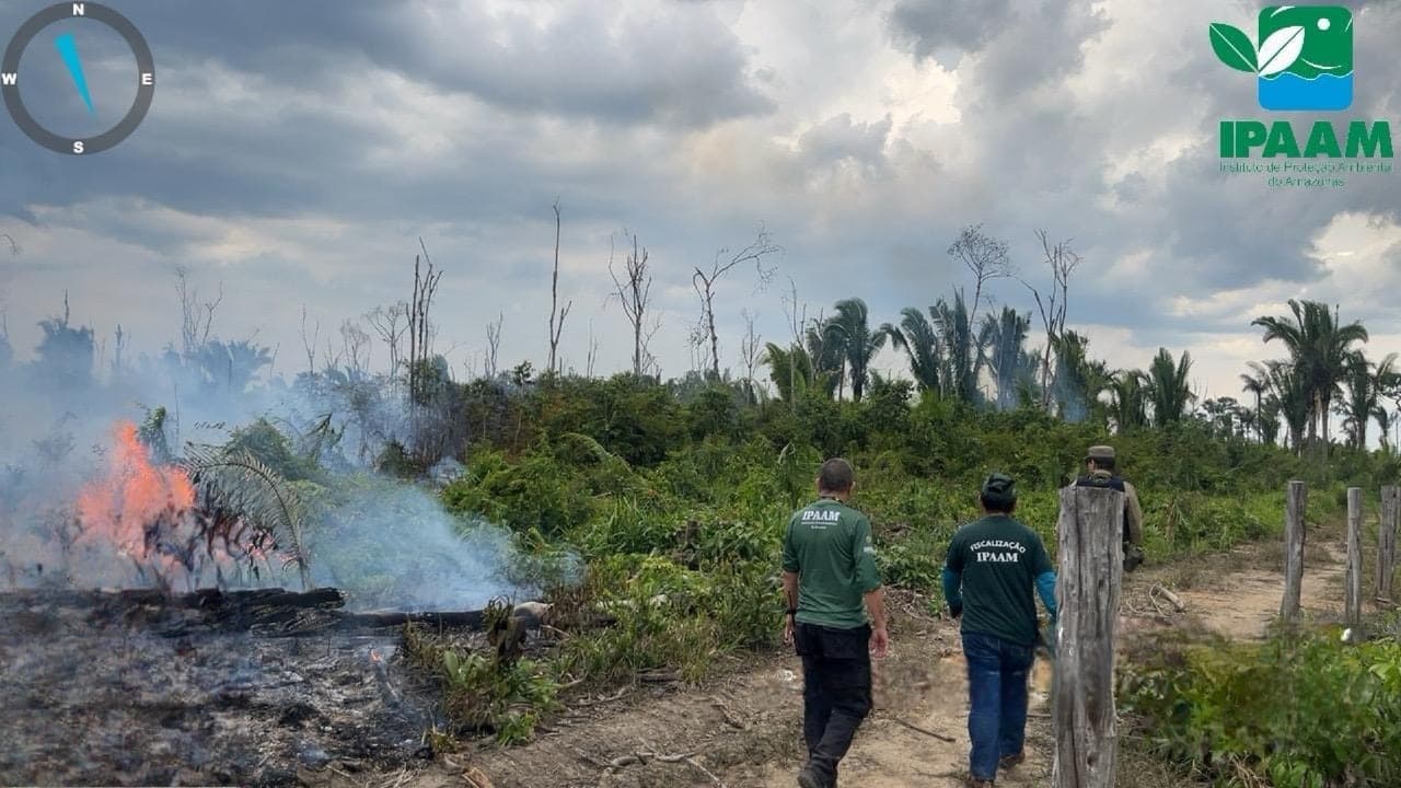 Ipaam aplica mais de R$ 5 milhões em multas na 5ª etapa da Operação Tamoiotatá 5