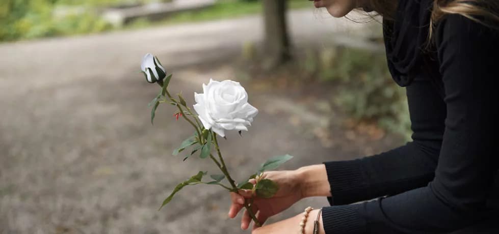 Dia de finados: veja filmes e séries que abordam histórias de luto e recomeço