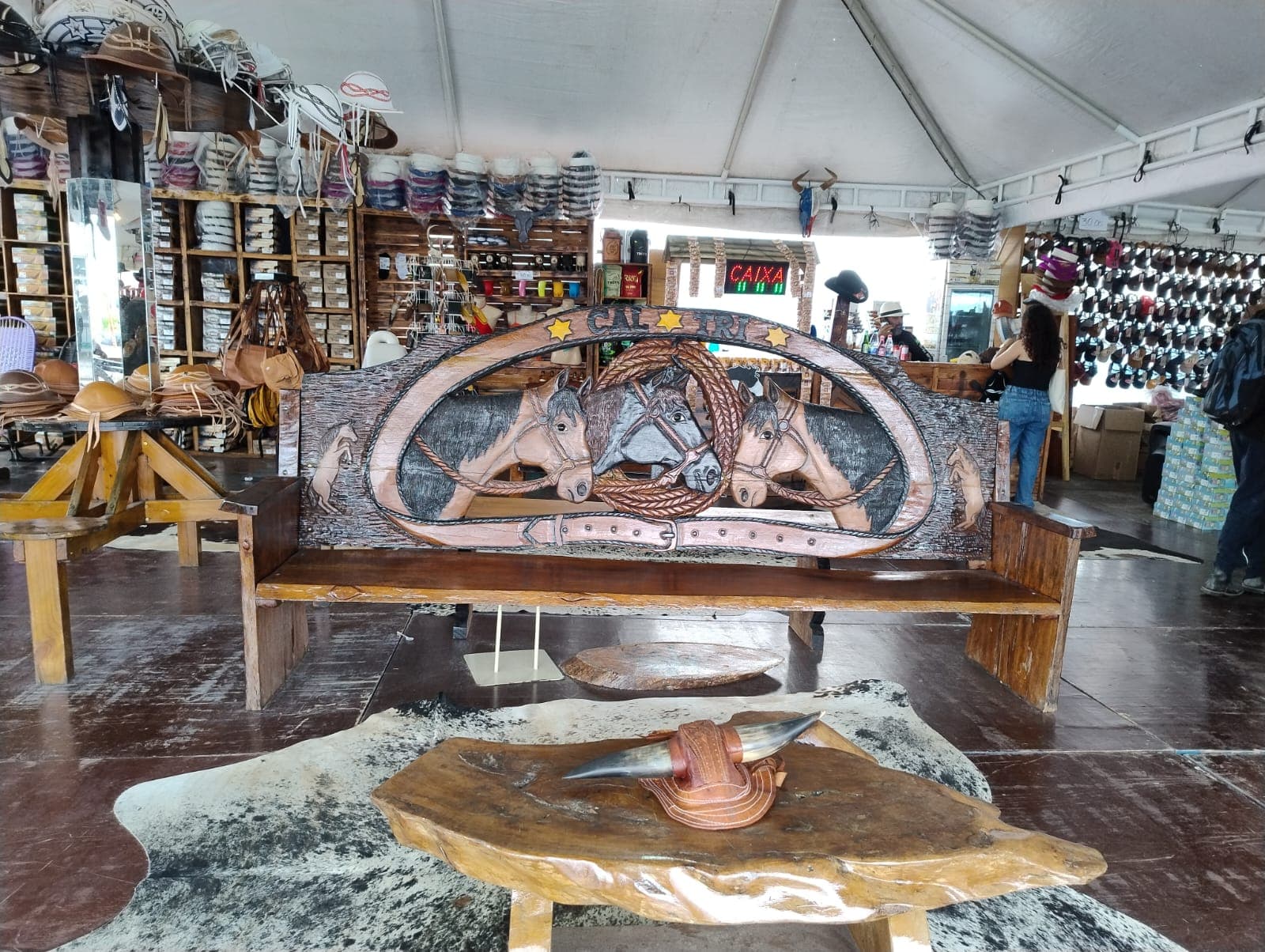 Expoagro: um mundo de produtos para além de animais e shows musicais