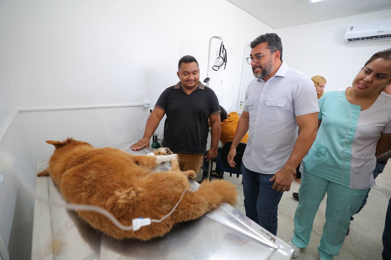 Hospital Público Veterinário faz 3 mil procedimentos na 1ª semana em Manaus