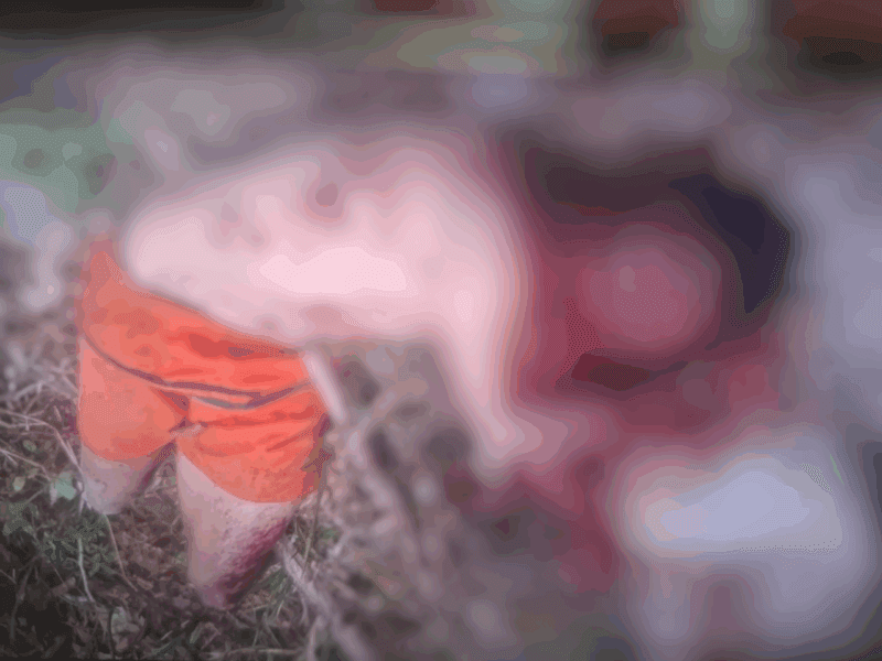 Filho suspeito de matar a própria mãe é encontrado morto em Manaus