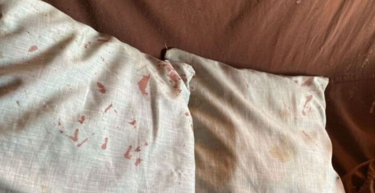 Mulher é presa após matar companheira esganada para “tentar tirar espíritos”