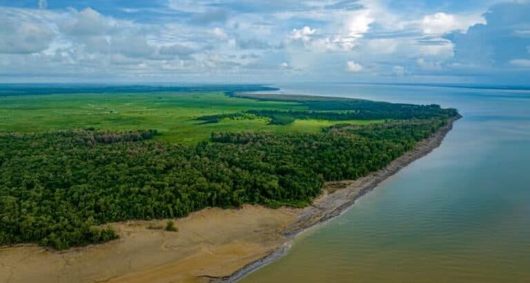 MPF recorre contra exploração de petróleo na Foz do AM e cobra estudos climáticos e consulta a indígenas