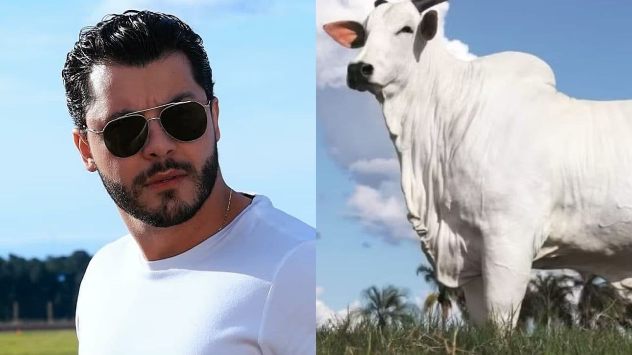 Murilo Huff se torna um dos donos de vaca avaliada em R$ 54 milhões