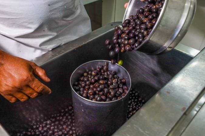 CRA aprova regulamentação da profissão de manipulador artesanal de açaí e reconhece importância cultural da atividade
