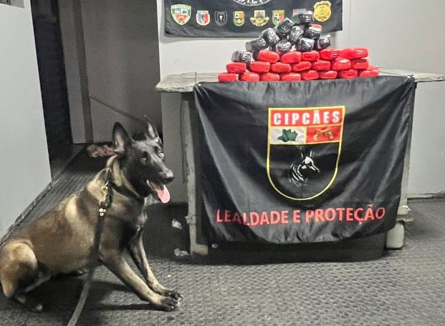 Drogas avaliadas em R$ 750 mil são encontradas entre garrafões de água em barco no Amazonas