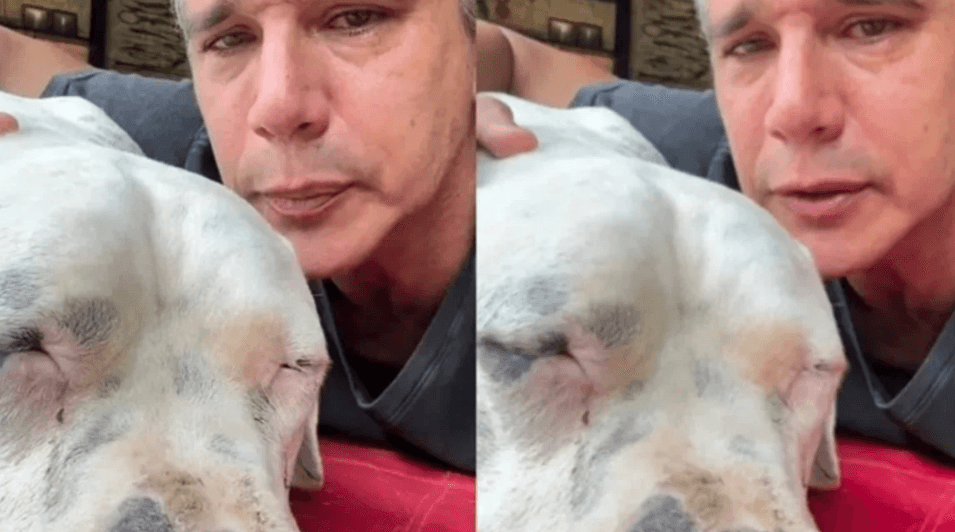 Márcio Garcia emociona ao revelar dilema sobre tratamento do cachorro com câncer