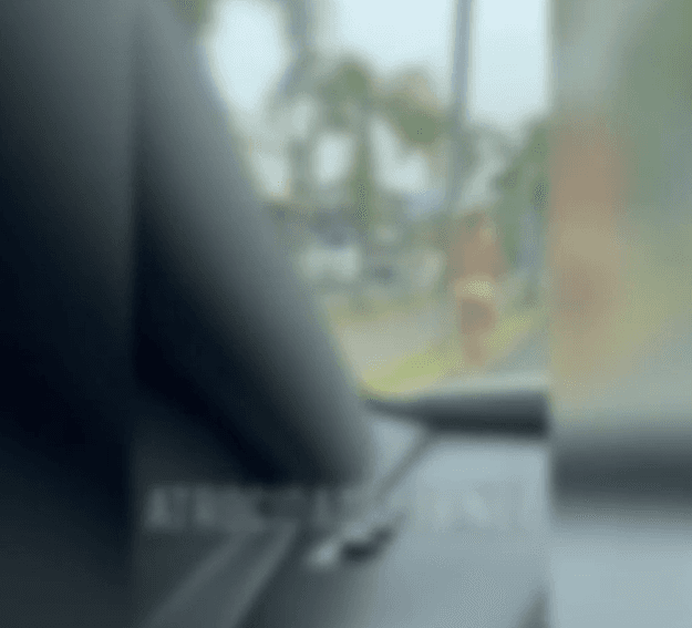 Travesti sai correndo nua pela rua de Campo Bom durante briga