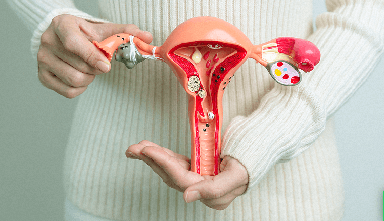 Deputado do AM sugere Dia de Conscientização sobre a Menopausa para combater ‘estigmas e preconceitos’