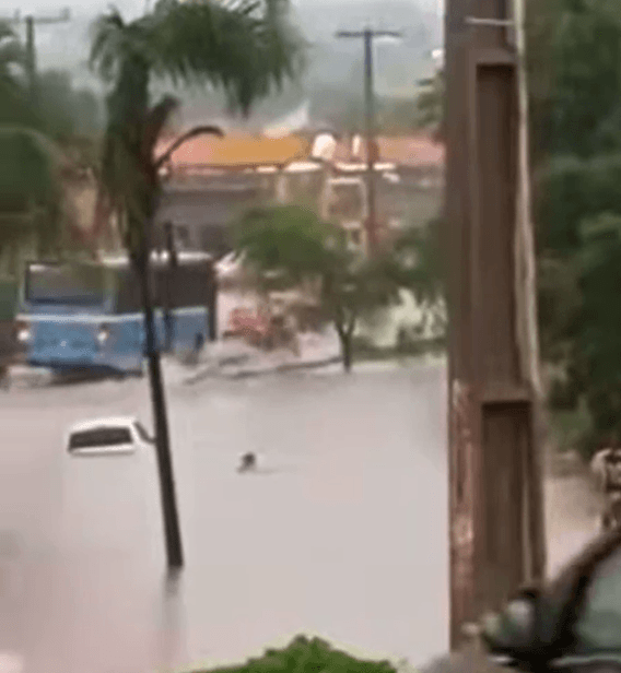 Motorista abandona carro em rua alagada e nada para se salvar