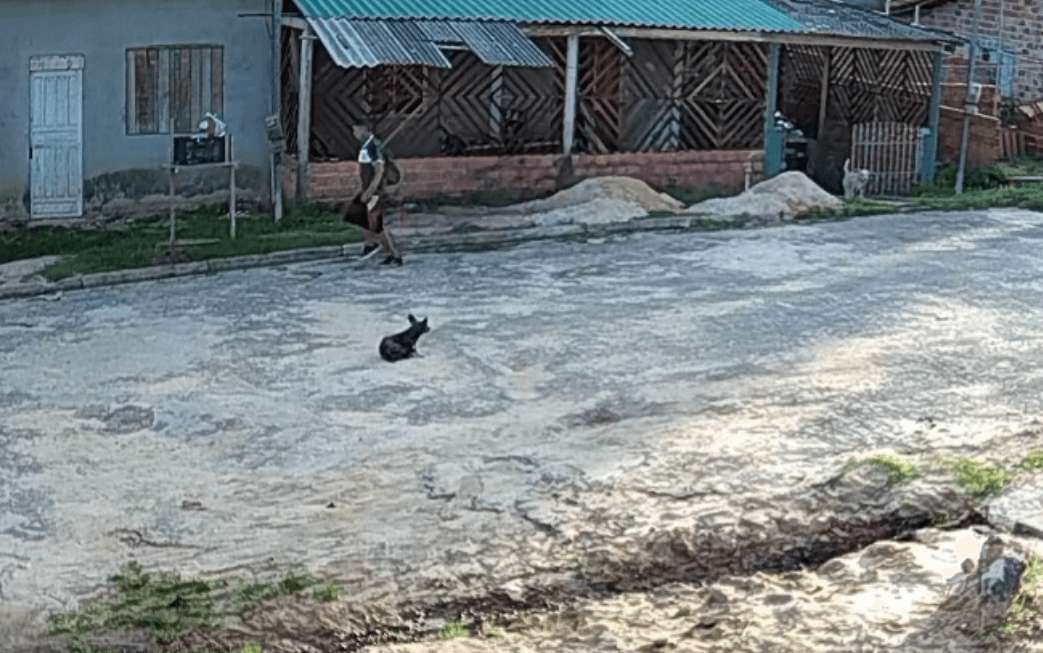 Homem é preso suspeito de incendiar casa com companheira e filhos dentro