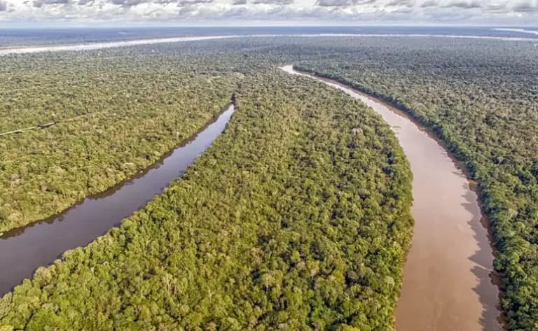 Áreas protegidas no Amazonas reforçam papel vital na conservação da Amazônia