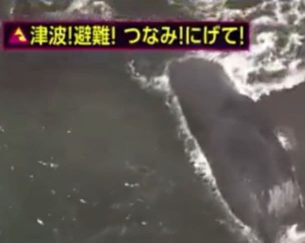 Autoridades japonesas emitem alerta para possível megaterremoto