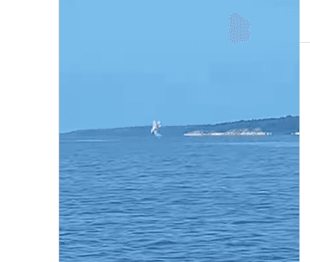 Veja momento da queda de avião próximo à ponte Rio Negro