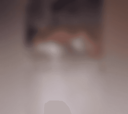 Vizinhos denunciam homem por abuso sexual contra cadela no Maranhão