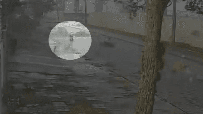 Vídeo mostra jovem agarrando árvore para sobreviver a tornado de 180 km/h no Paraná