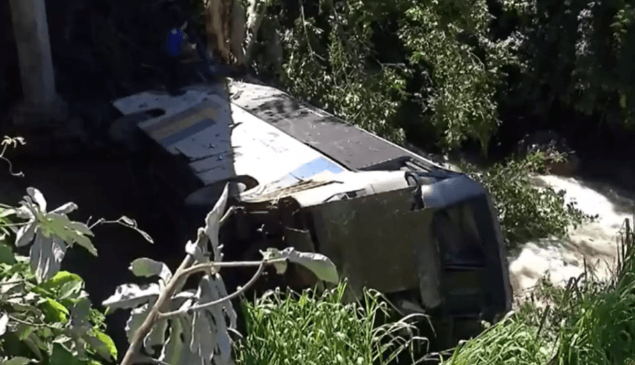 Vacas soltas provocam acidente e ônibus cai de ponte em Goiás