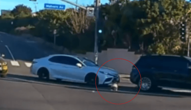 Bebê cai de carro em movimento e mãe é presa após vídeo viralizar na Califórnia