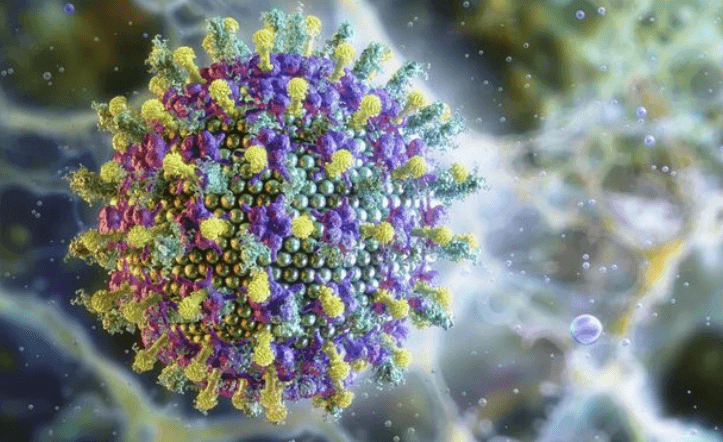 Brasil não tem caso de vírus Nipah, afirma Ministério da Saúde