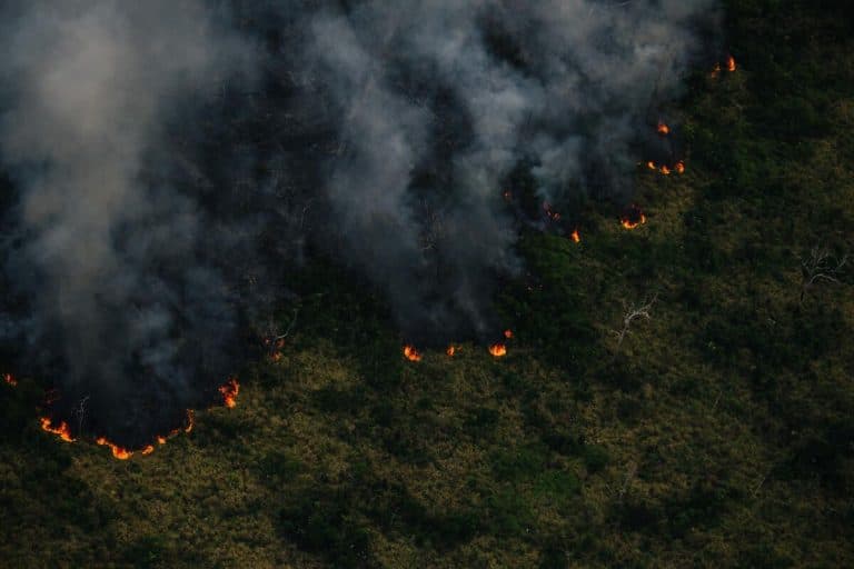 PF investiga queimadas e desmatamento em área rural do Amazonas