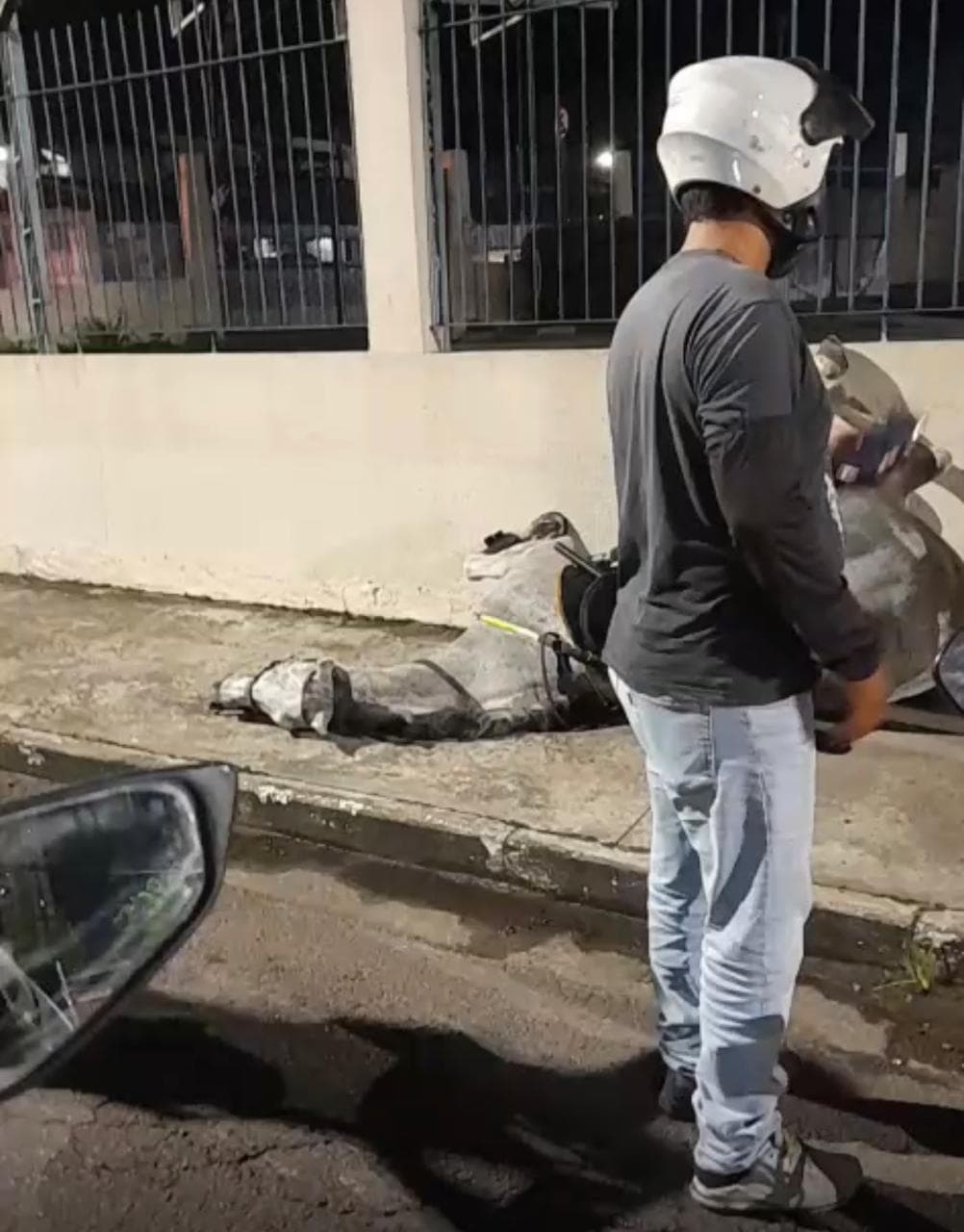 Cavalo da PM bate em poste após se assustar durante o Carnaboi