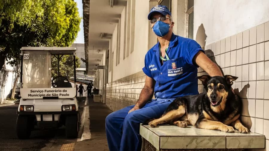 Governo de SP autoriza que cães e gatos passem a ser enterrados em jazigos familiares