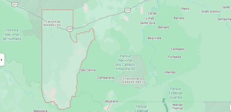 Equipe de fiscalização do Ibama é atacada a tiros em Terra Indígena do Amazonas