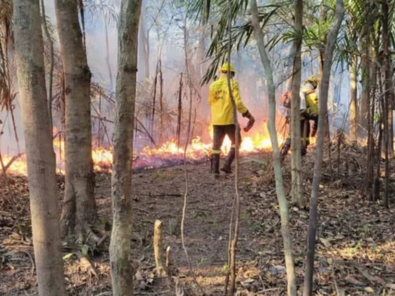 Incêndio em lixão de Iranduba expõe riscos e pode gerar indenizações, explica advogada